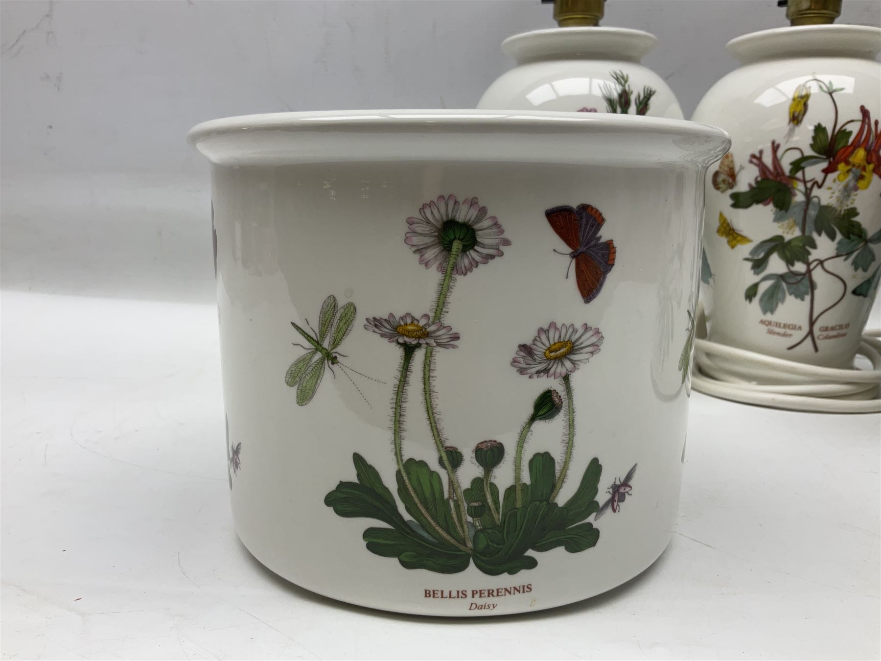 Two Portmeirion Botanic Garden table lamps, together with two Portmeirion Botanic Garden planters