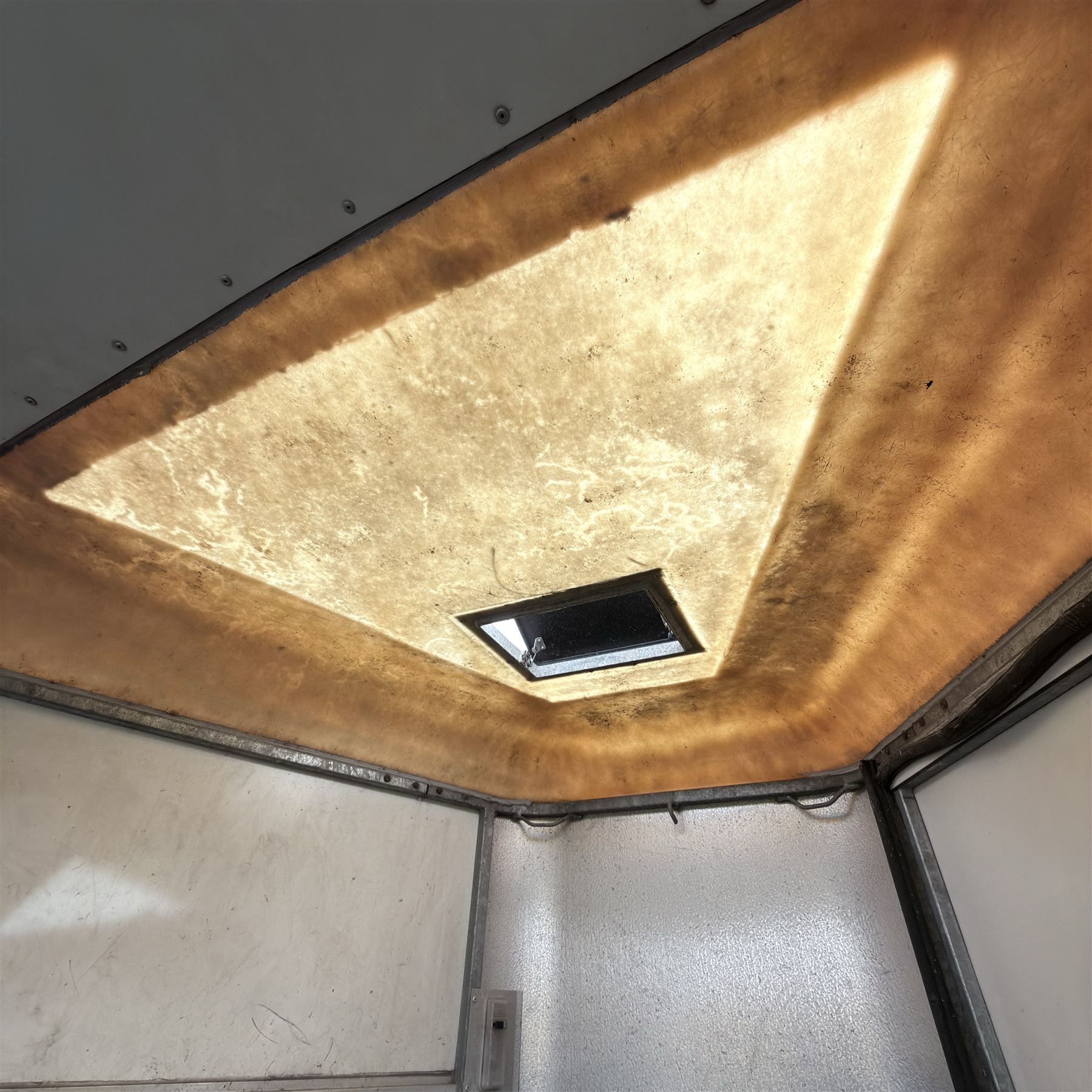 Ifor Williams HB505R horse trailer