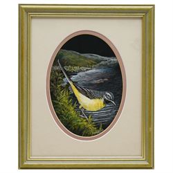 Liz Garnett Orme (British Contemporary): 'Grey Wagtail', gouache signed and dated 1992, 17cm x 13cm