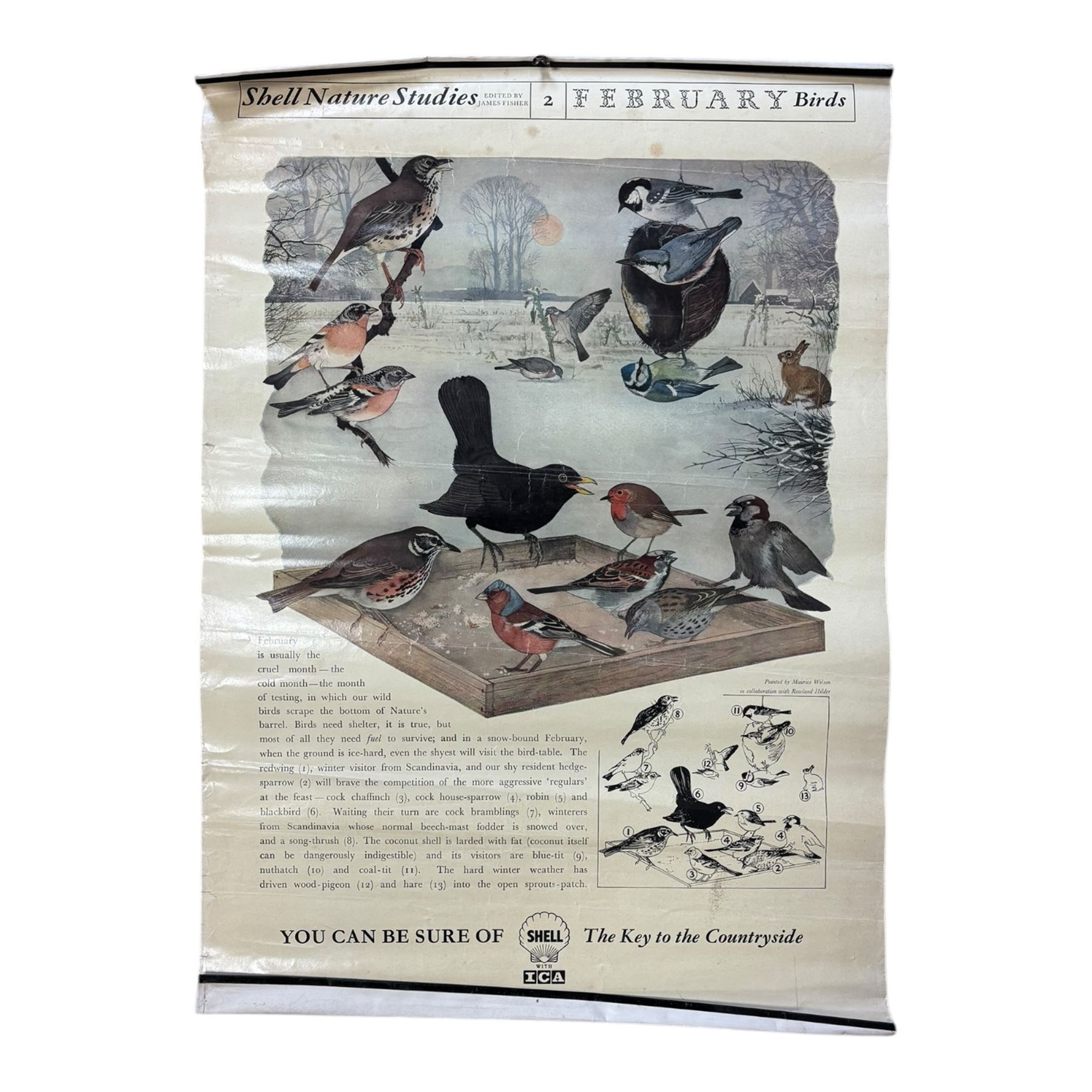 Collection thirty seven vintage county guide posters produced by Shell, H76cm, W51cm