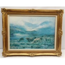 Print of Highland Cattle in gilt frame, to fit 16