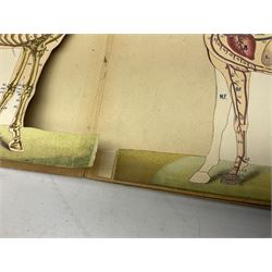 A. Schwarz, The Horse; Its External and Internal Organisation, An Illustrated Representation and Brief Description, Revised and Edited by George Fleming, London, George Philip & Son, with fold out anatomical plates