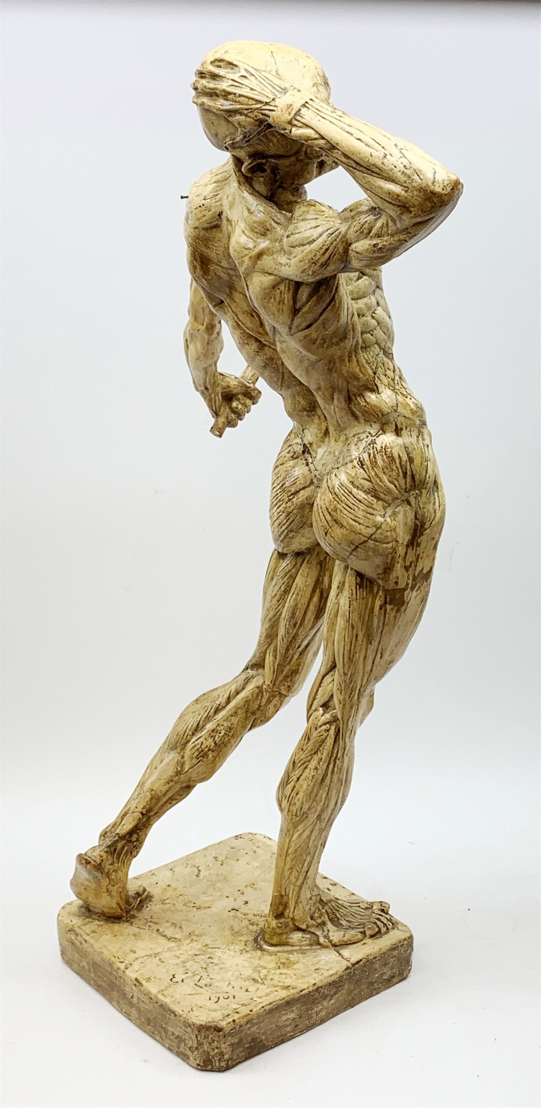 After Edouard Lanteri (1848-1917), a plaster cast anatomical male figure, signed to base E Lanteri 1901, H85.5cm