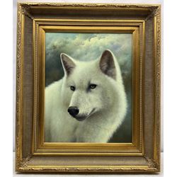 Johnny Gaston (British 1955-): The White Wolf, acrylic on panel signed 49cm x 39cm