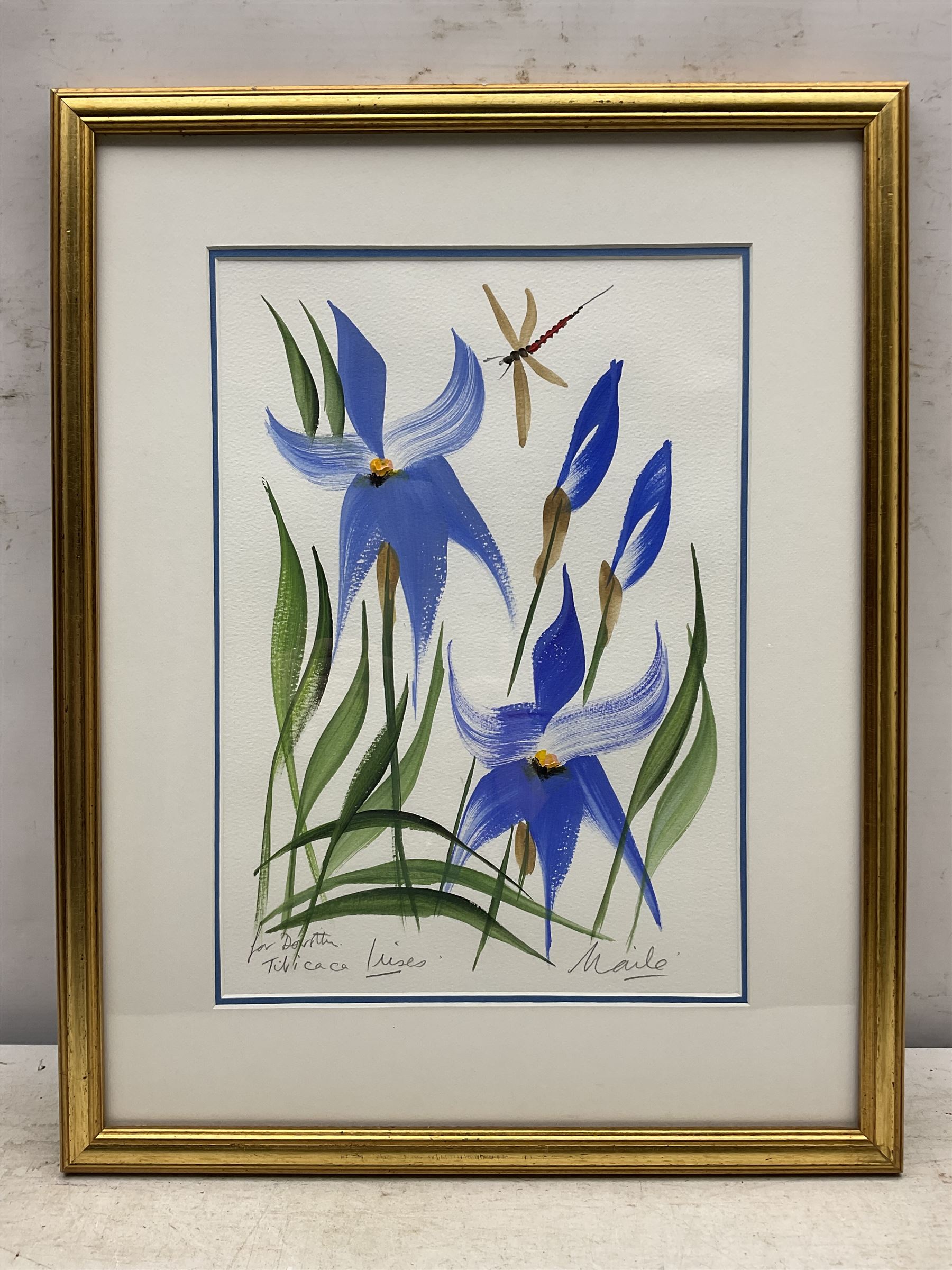 Ben Maile (British 1922-2017): 'Titicaca Iris', gouache signed titled and inscribed 'For Dorothy' 36cm x 25cm 
Provenance: a gift to the vendor from the artist