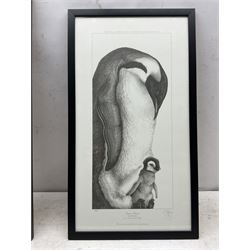 Gary Hodges (British 1954-): 'Emperor Penguins', limited edition monochrome print signed and numbered 88/850 in pencil 58cm x 31cm 