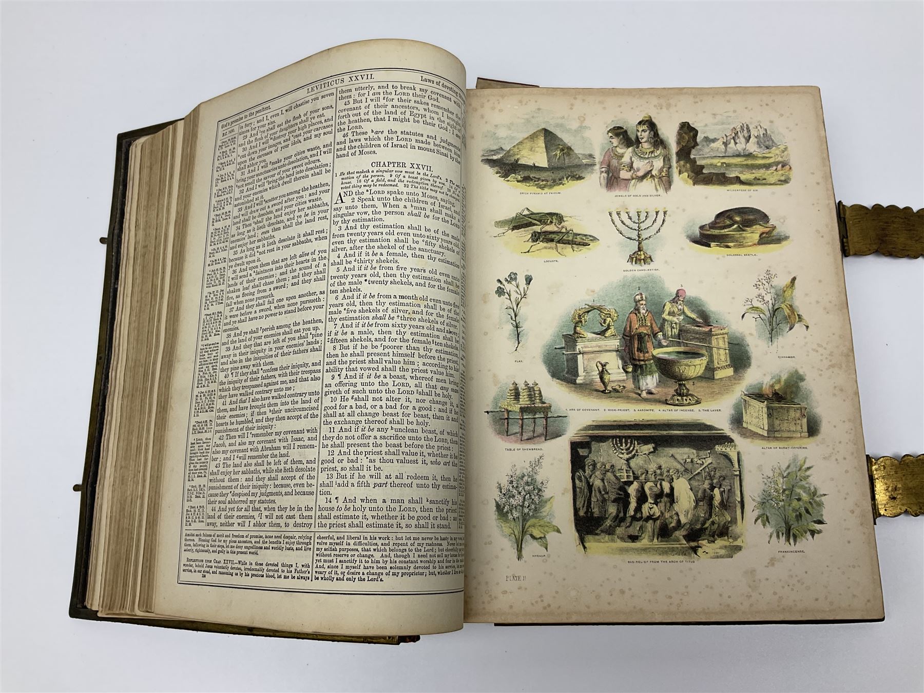 Large leather bound illustrated Holy Bible 'Brown's Self-Interpreting Family Bible, containing the old & new testaments' by the late Rev. John Brown