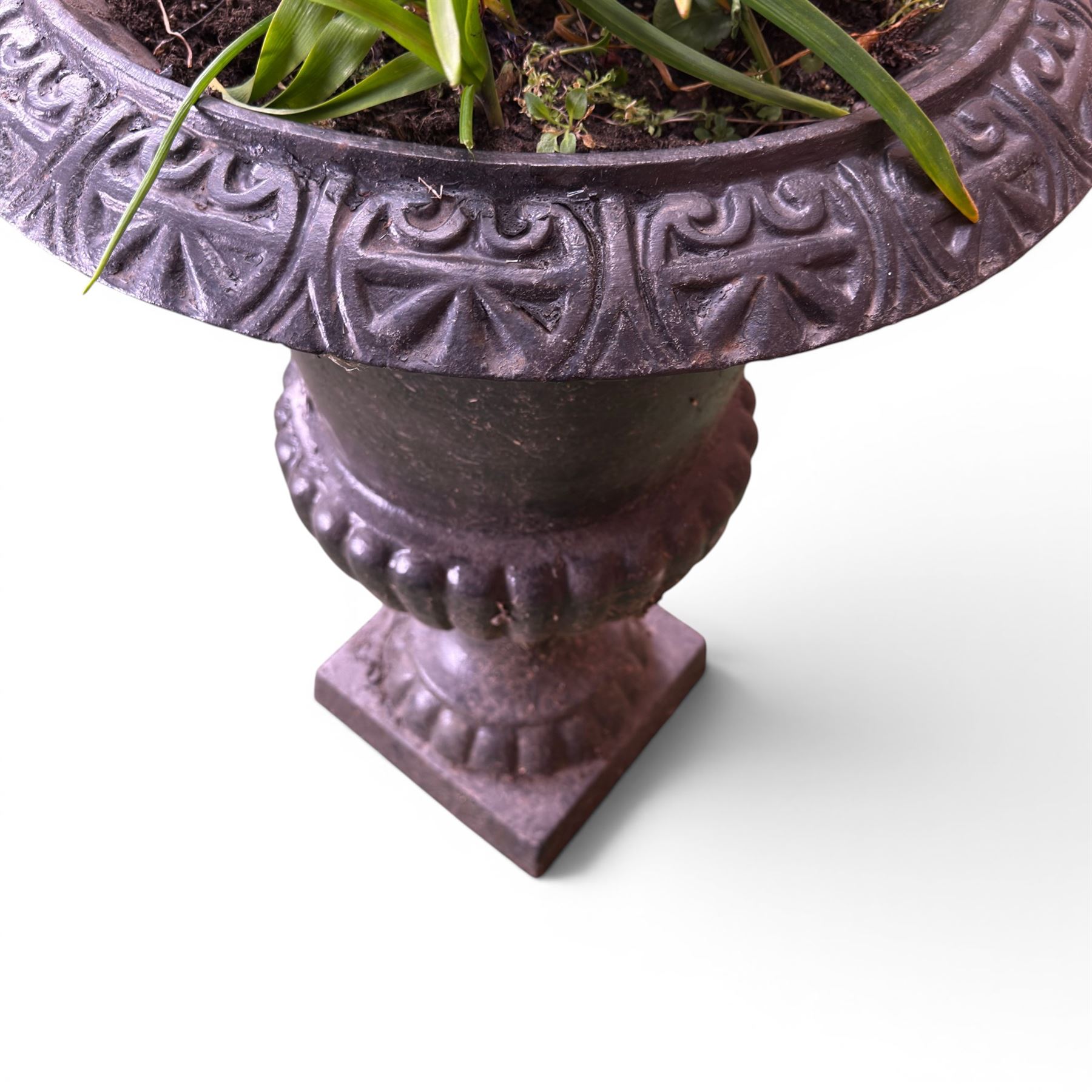 Victorian design cast iron garden centrepiece urn, egg and dart rim on tapering column, square plinth base, planted