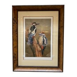 Robert E Fuller (British 1972-): Great Spotted Woodpeckers, limited edition colour print s...