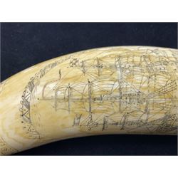 19th century scrimshaw sperm whale tooth from the whaler 'Dove' initialled J.A, Notes, Dove was a Union whaling boat, built at Newbury. Tt was scuttled as part of the Second Stone Fleet on January 25th-26th, 1862, in an attempt to block Charleston Harbor. The captain of the Dove was Captain James Wells Green Port. There were five members of the crew had the initials J.A, any of which could have created the scrimshaw.