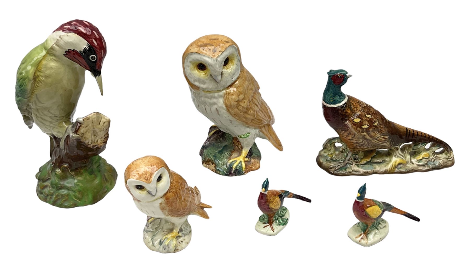 Six Beswick bird figures comprising large barn owl no.1046, small barn owl no.2026, woodpecker no.1218, pheasant no. 1226b and two small pheasants no.767a, tallest H22cm  