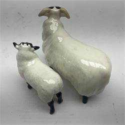 Seven Beswick figures, to include King Charles Spaniel 2107A, ginger cat 1898, Jack Russell 2109 etc