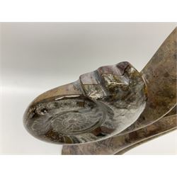 Goniatite sculpture, displaying two Goniatites within a polished and shaped matrix, age; Devonian period, H56cm