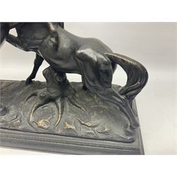 Bronzed figure group of two rearing horses, on naturalistic base and mounted on a stepped plinth, H38cm