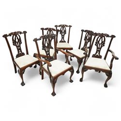 Chippendale revival mahogany dining chairs, set of six including a pair of carvers, the ba...