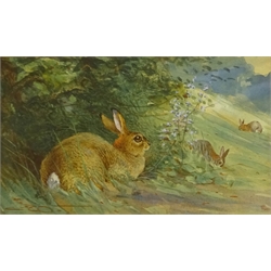  Charles Whymper (British 1853-1941): Partridge and Hares in Landscape, two watercolours signed with initials 8cm x 14cm  
