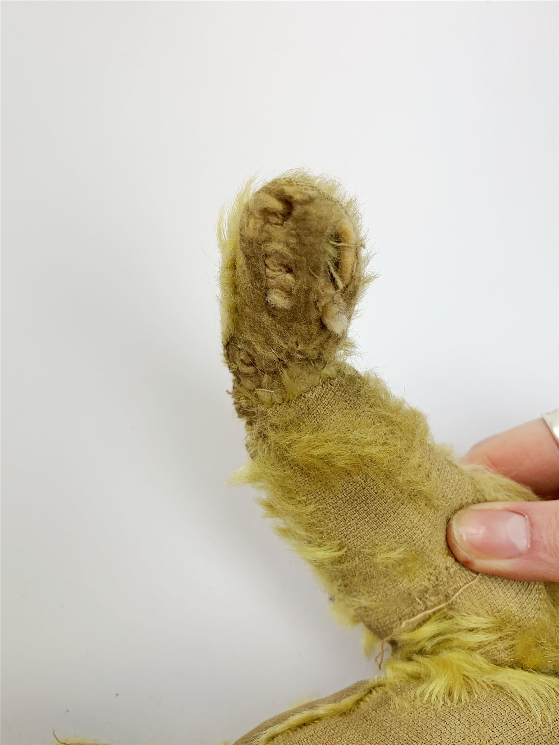 Early 20th century English teddy bear, with wood wool filled body with jointed limbs, felt covered paw pads, five claw stitching to feet and elongated arms with spoon shaped paws H14