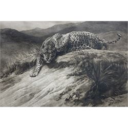 Herbert Thomas Dicksee (English 1862-1942): 'Stealth' - A Leopard, drypoint etching signed in pencil, initialled and dated 1914 in the plate 50cm x 71cm