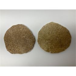 Three fossilised fish (Knightia alta) each in an individual matrix, age; Eocene period, location; Green River Formation, Wyoming, USA, largest matrix H10cm, L13cm, and polished ammonites