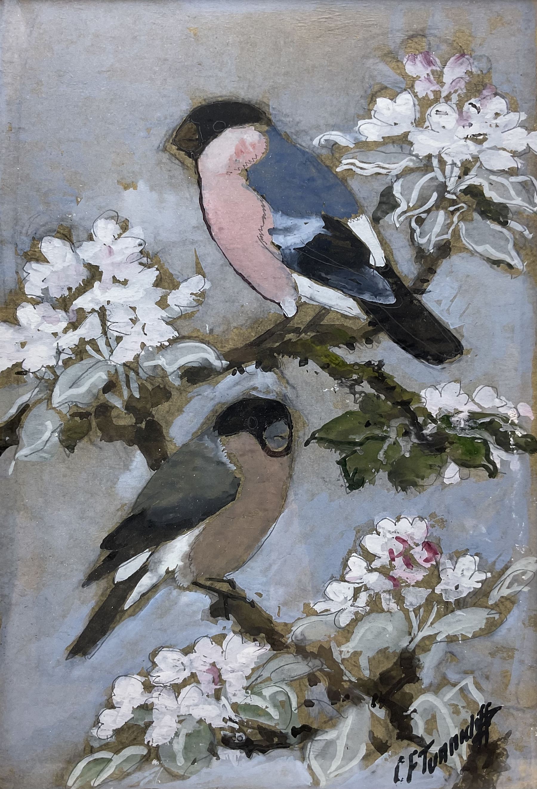 Charles Frederick Tunnicliffe (British 1901-1979): Bullfinches, gouache signed, titled on Welsh Arts Council label verso 31cm x 21cm