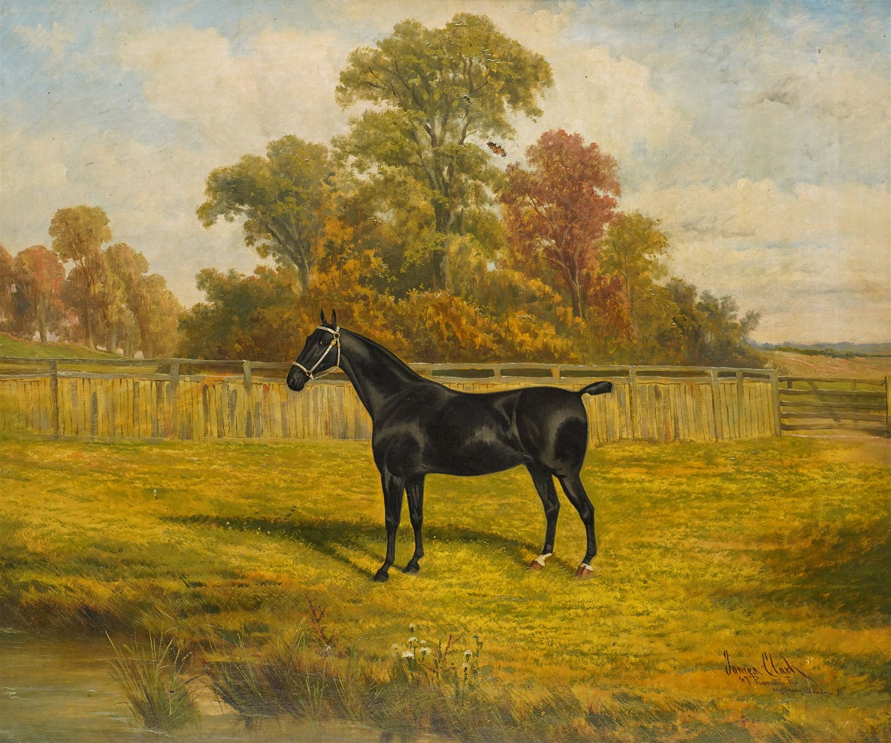 Albert James Clark (British 1858-1943): Portrait of a Black Horse with Docked Tail, oil on canvas signed and inscribed '67 Riversdale Rd - Highbury London N' 50cm x 60cm