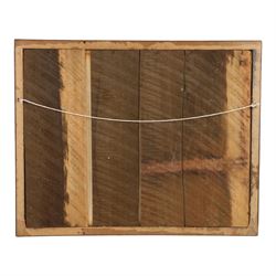 Victorian photocollage, 'There was an old woman who lived in the shoe', watercolour, penwork and photographs, the photographs of children with hand written names on the bowls and cups they are holding, framed, H53cm, 66cm   