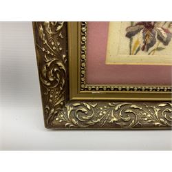 Thirty-five WW1 embroidered silk postcards including regimental crests, flags of the Allies, envelope type with greeting card inserts, Christmas and birthday cards etc; mounted and glazed in three graduated modern matching gilt frames (3)