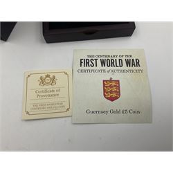 Queen Elizabeth II Bailiwick of Guernsey 2014 'The Centenary of the First World War' gold proof five pound coin, cased with certificate
