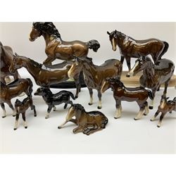 Beswick figures to include, bay mare, model no 976, three bay huntsman horses, model no 1484, shire horse, model no 818, foal lying down, model no 915, shetland foal, model no 1034, etc