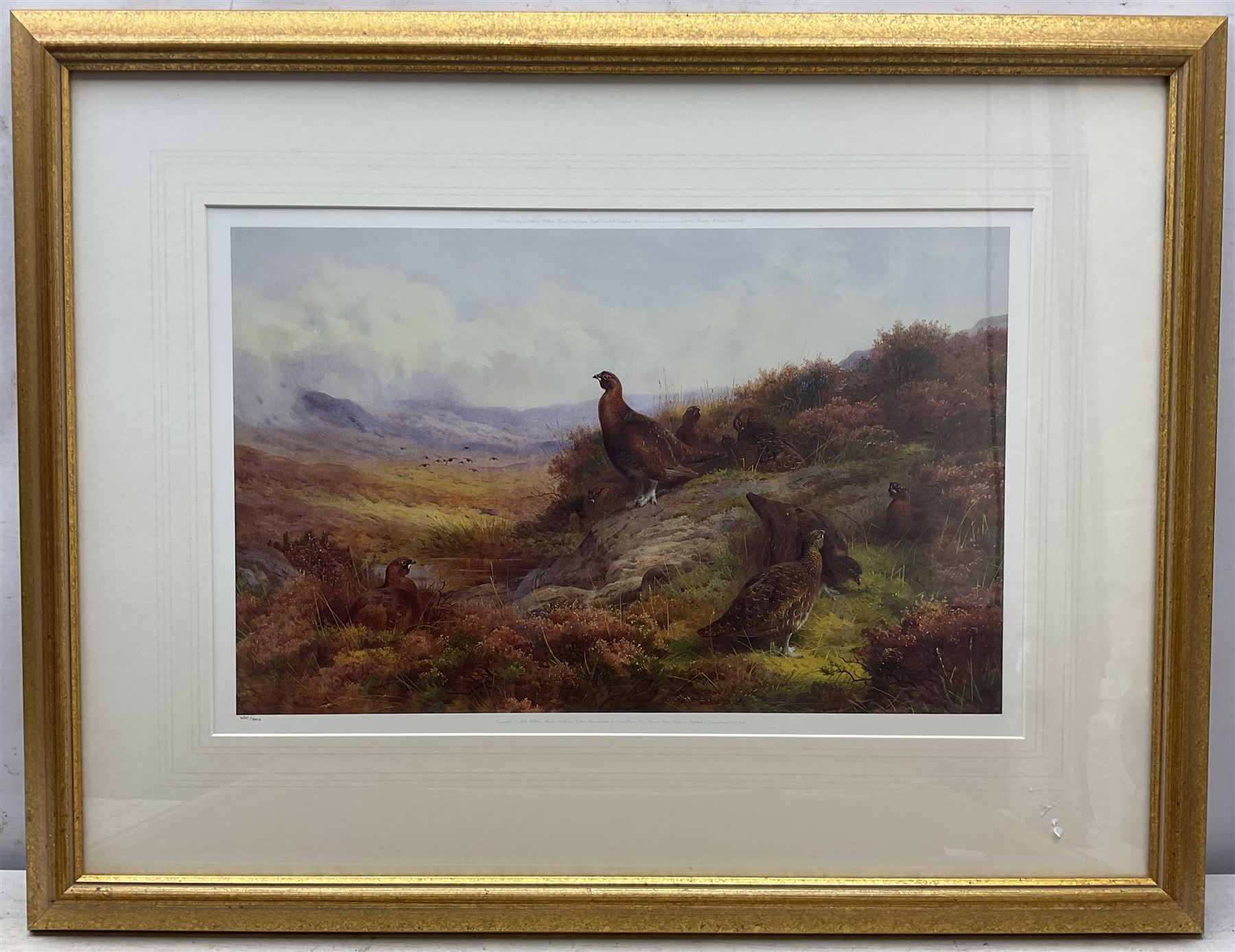 After Archibald Thorburn (British 1860-1935): Pheasants and Red Grouse, pair contemporary limited edition prints 31cm x 49cm (2)
