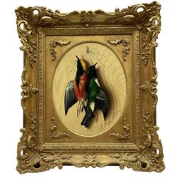 Michelangelo Meucci (Italian 1840-1909): Hanging Songbirds, pair oval trompe l'oeil oils on panel signed and inscribed 'Firenze' 22cm x 28cm (2)