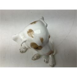 Royal Copenhagen figure of a pointer puppy, modelled seated with rare white and brown patch colourway, designed by Erik Nielsen, model no 259, date code for 1889-1922, with printed and painted marks beneath, H19cm