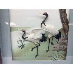 Two Oriental framed feather art pictures, one depicting a peacock upon a branch, the other a pair of cranes under a tree, H70cm