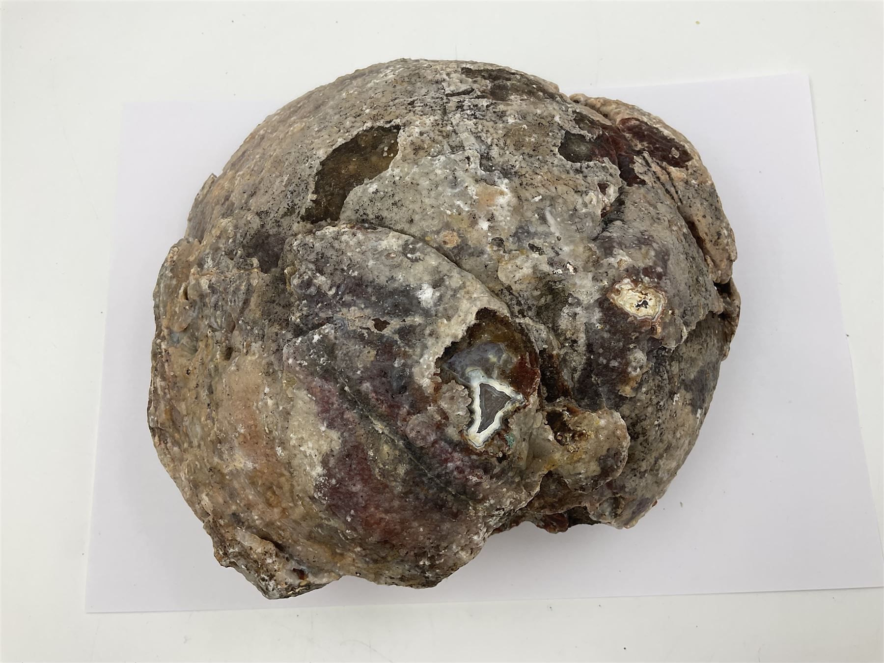 Amethyst crystal geode cluster, with well-defined crystals of various sizes, L22cm