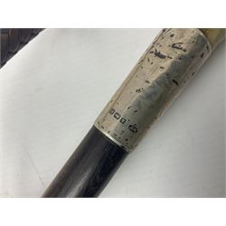 Collection of hunting crops and riding whips, including horn handle examples with silver cuffs