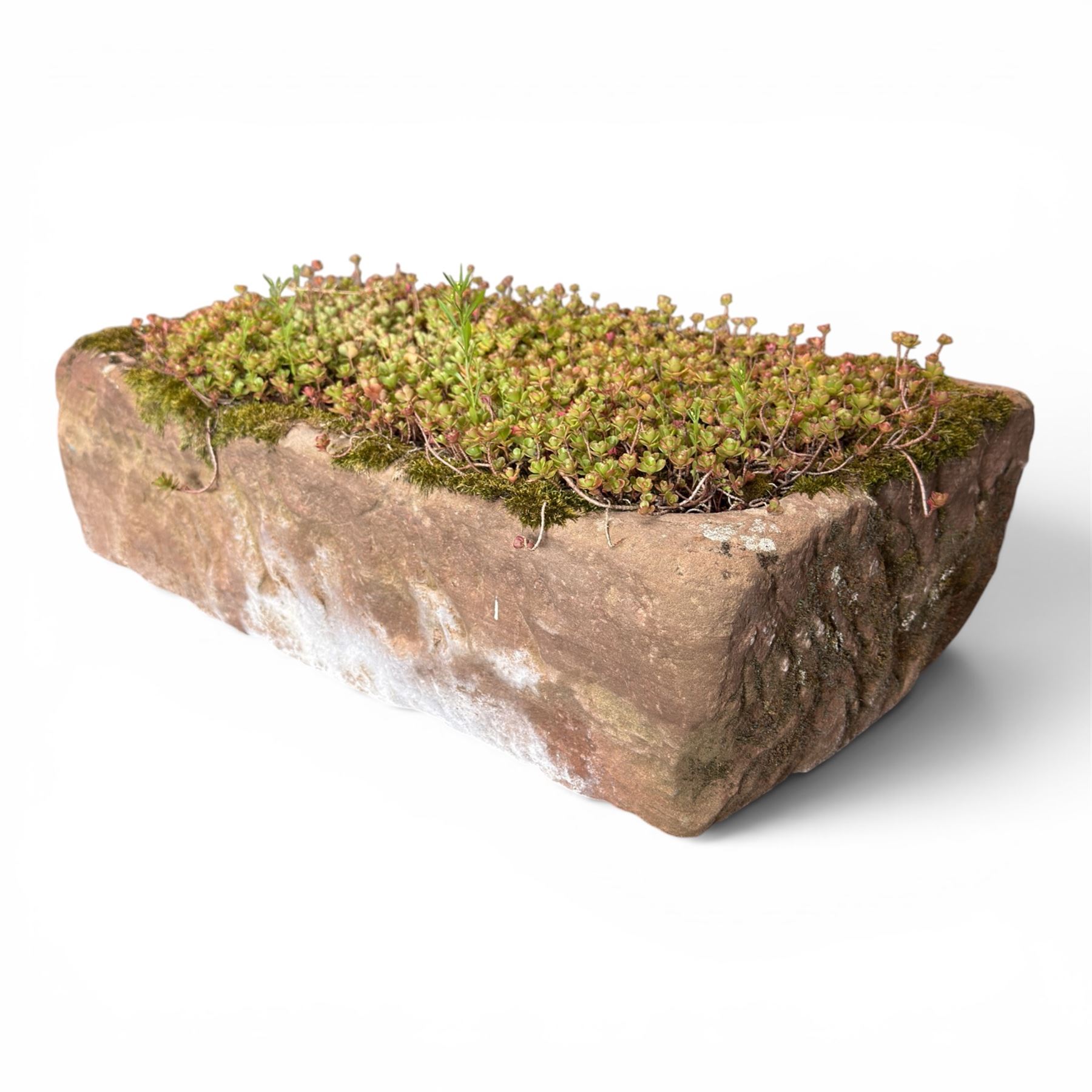 20th century rectangular sandstone trough planter, naturalistic rock form, planted with moss and succulents, weathered finish.