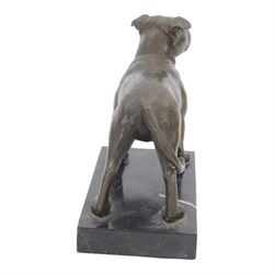 Bronze figure of a Staffordshire bull terrier, upon a rectangular base, H14cm