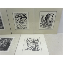  After Pablo Picasso (Spanish 1881-1973): Animals and Insects, five  lithographs from Buffon Histoire Naturelle, pub. Edito-Service Geneve c1960, 28cm x 23cm (mounted) (5)  