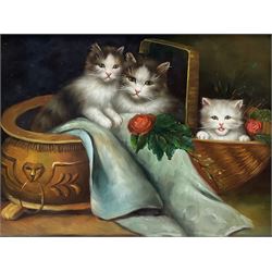 English School (20th century): Kittens Playing with Roses, oil on panel unsigned 18cm x 24cm