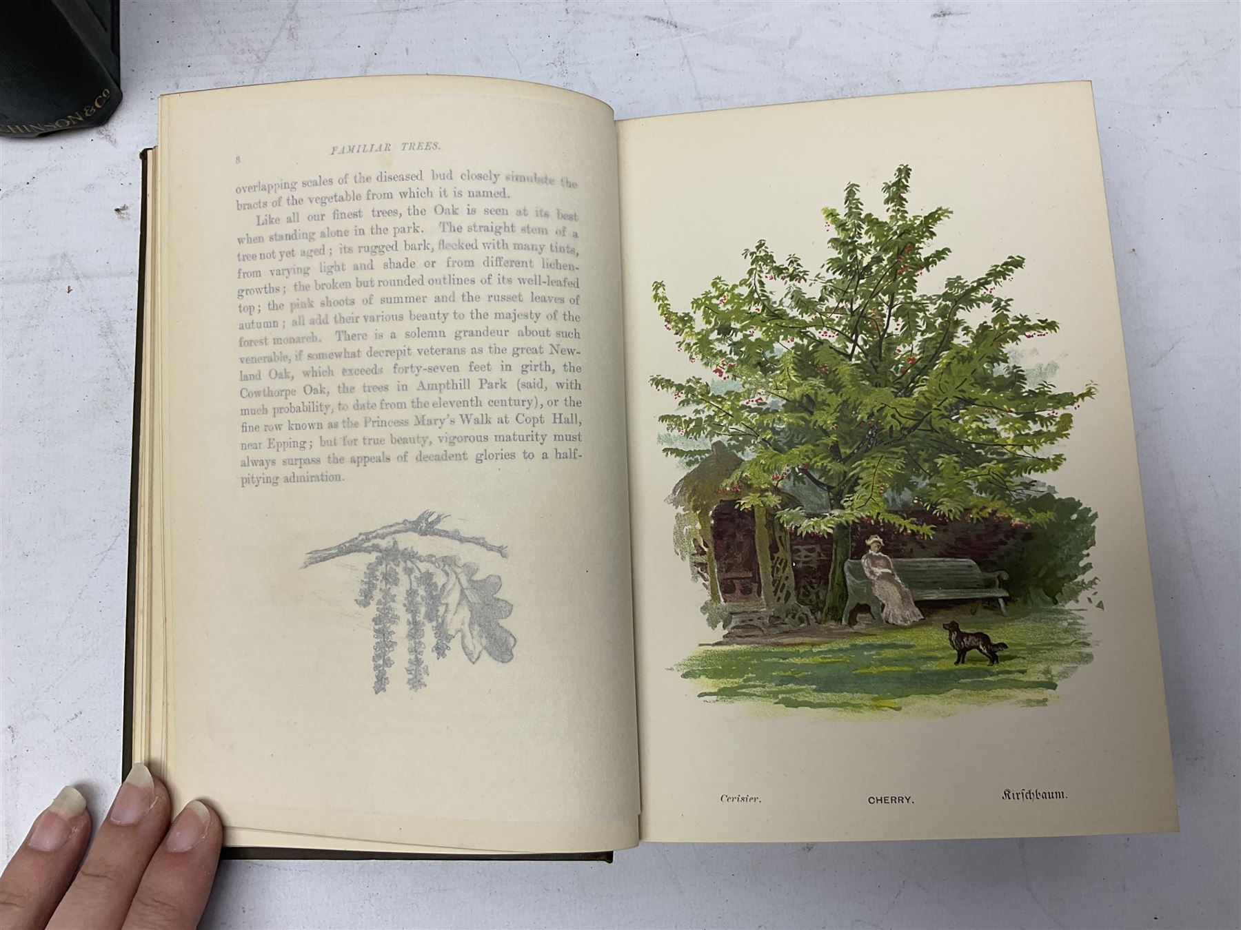 Maxwell, Herbert; 'British Fresh-Water Fish', Afalo, F.G; 'British Salt Water Fish', Hulme, F. Edward: 'Wild Fruits of the countryside' Boulger, G.S; Familiar Trees, two volumes, all with coloured plates, together with three other books