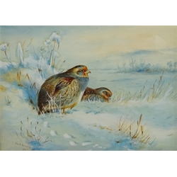 John Hammond Harwood (British 1904-1980): Grey Partridges in the Snow, watercolour after Archibald Thorburn signed 19cm x 26.5cm  