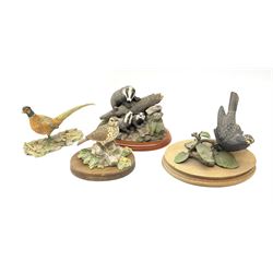 A group of Border Fine Art figures, comprising badger, pheasant,  song thrush and blackbird, boxed and unboxed 