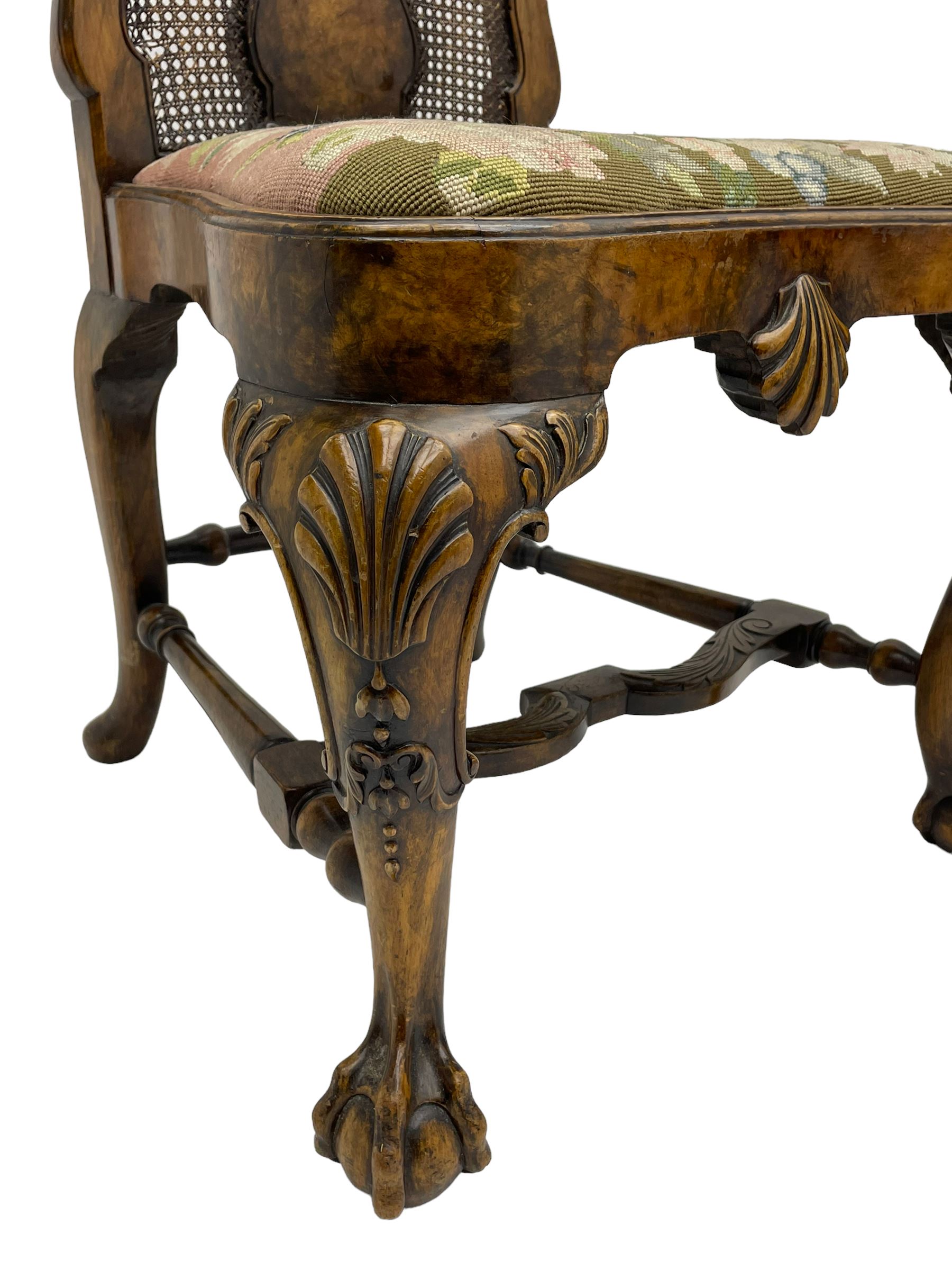 Pair of early 20th century Queen Anne design chairs, the cresting rail carved with scroll and central shell motif, shaped uprights and splat encased in cane work panels, shaped moulded seat frame with shell motif, floral needlework upholstered drop-in seat cushion, on shell carved cabriole supports with ball and claw feet, united by turned and shaped middle stretcher carved with acanthus leaf