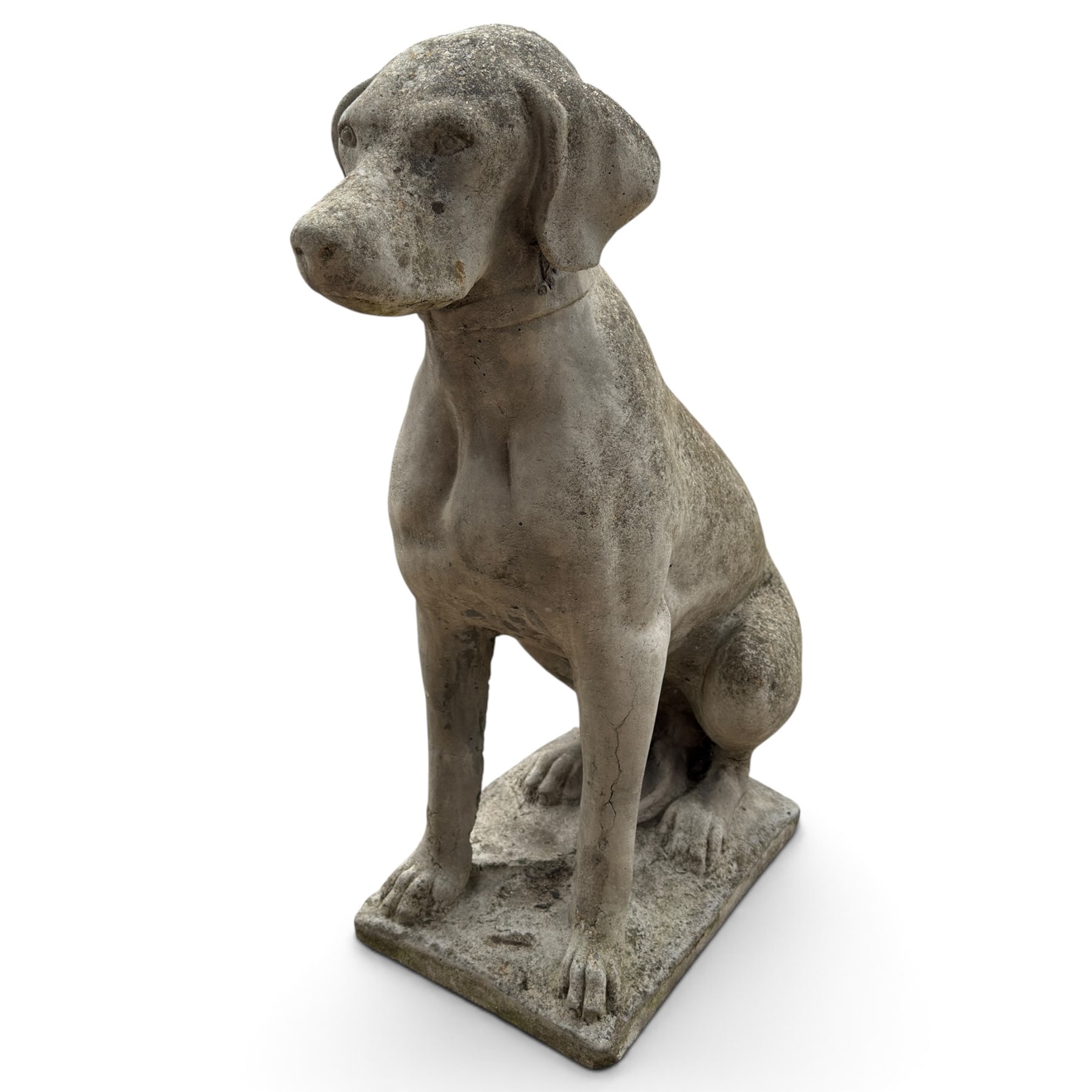 Weathered cast stone garden statue modelled as a seated pointer dog wearing a collar