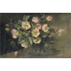 Alice Van Heddeghem (Dutch fl.1906-1927): Still Life of Dog Roses, oil on canvas laid on board signed 19cm x 30cm