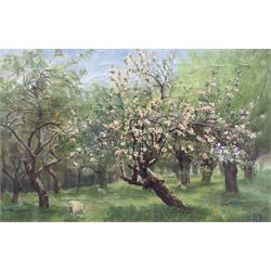 English School (19th Century): Sheep and Blossom, oil on canvas indistinctly signed with m...