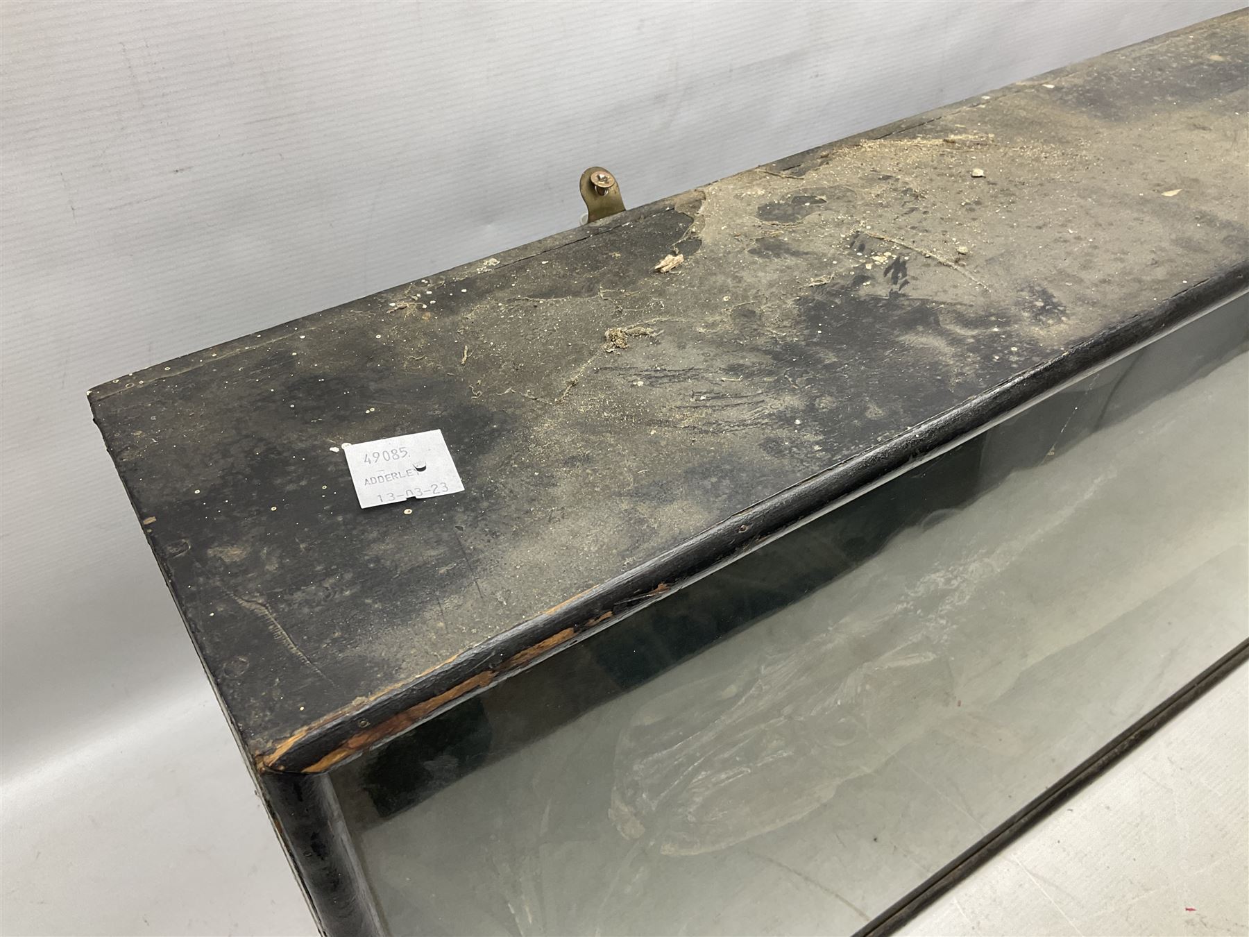 Taxidermy: Cased Northern Pike (Esox lucius), a large preserved skin mount set within a rocky river bed,  encased within a single pane display case, H41cm, L122cm