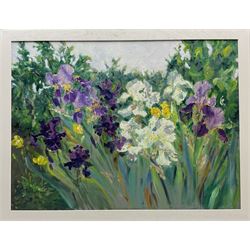 Catherine Tyler (British 1949-): Garden Irises, oil on board signed 75cm x 100cm