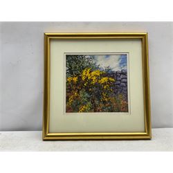 Ben Holgate (Northern British Contemporary): 'April Gorse', pastel signed, titled with artist's Lancaster address verso 19cm x 20cm