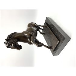 Bronze figure modelled as a prancing horse, upon a naturalistically modelled rectangular base, and black marble plinth, H34.5cm, L31cm